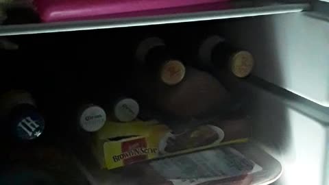 Thawing Pork Tenderloin Chills my Beer