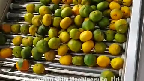 Fruit sorting machine