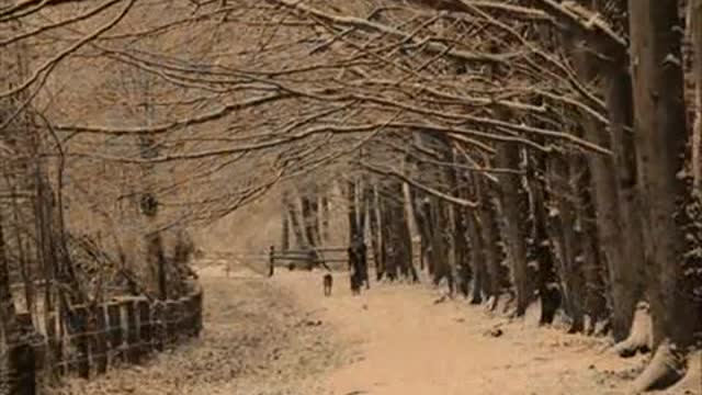 Silent Night - Elvis