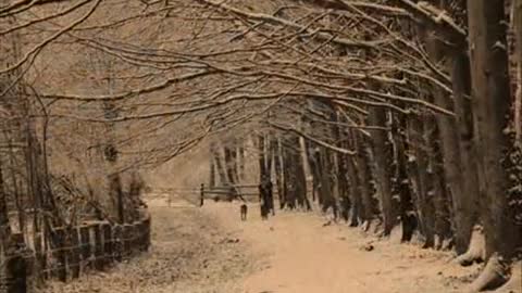 Silent Night - Elvis