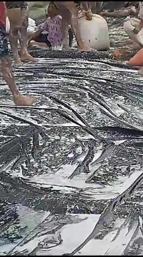 Video: tobogán hecho con bolsas en barrio de Cartagena es viral en redes