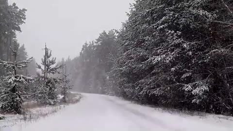 Snow - Winter - Nature - Relaxing