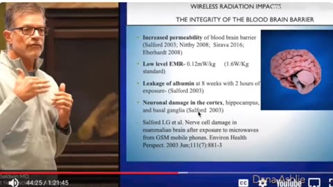 Microwave can damage blood-brain barrier permiability