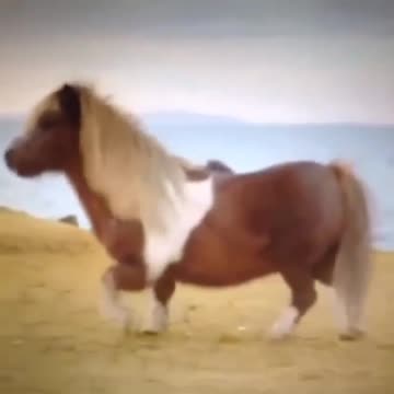 The youth of the new era are bathed in the spring breeze of the new era