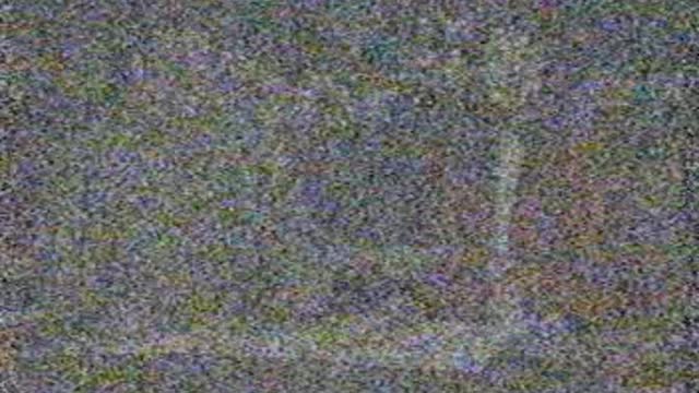 Police State 3 - Total Enslavement