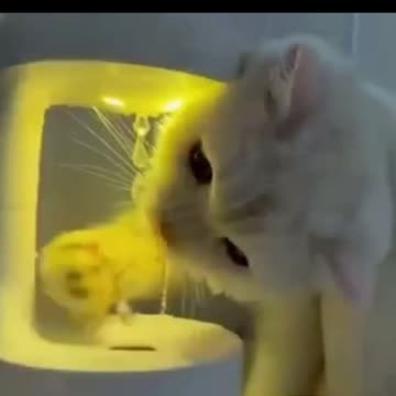 ELE3ST Ultrasonic. Humidifier.