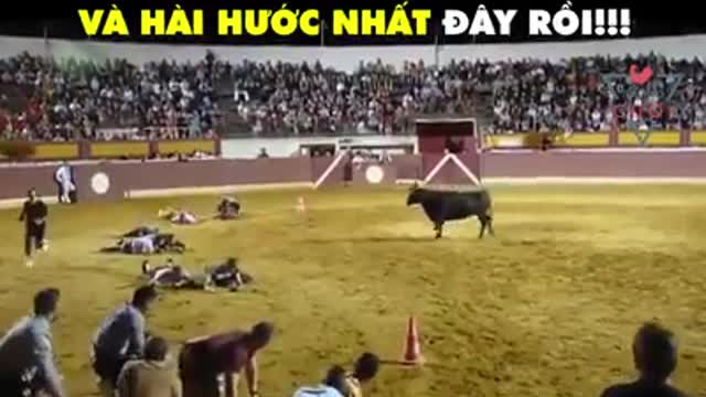 Funny adventure sport