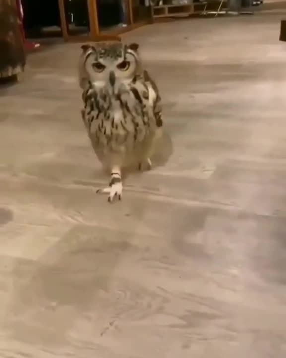 Is that pizza I smell?