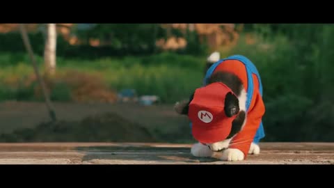 Super Mario Cat