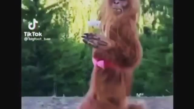 Bigfoot