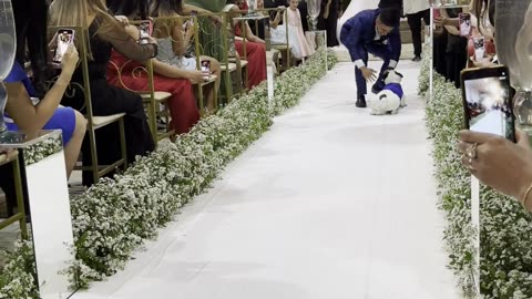 Most Beautiful Ring Bearer in Brazil