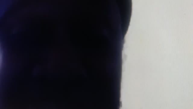 I Have Spoken I will Not Be Bullied Nor Pushed Around