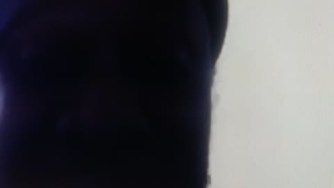 I Have Spoken I will Not Be Bullied Nor Pushed Around