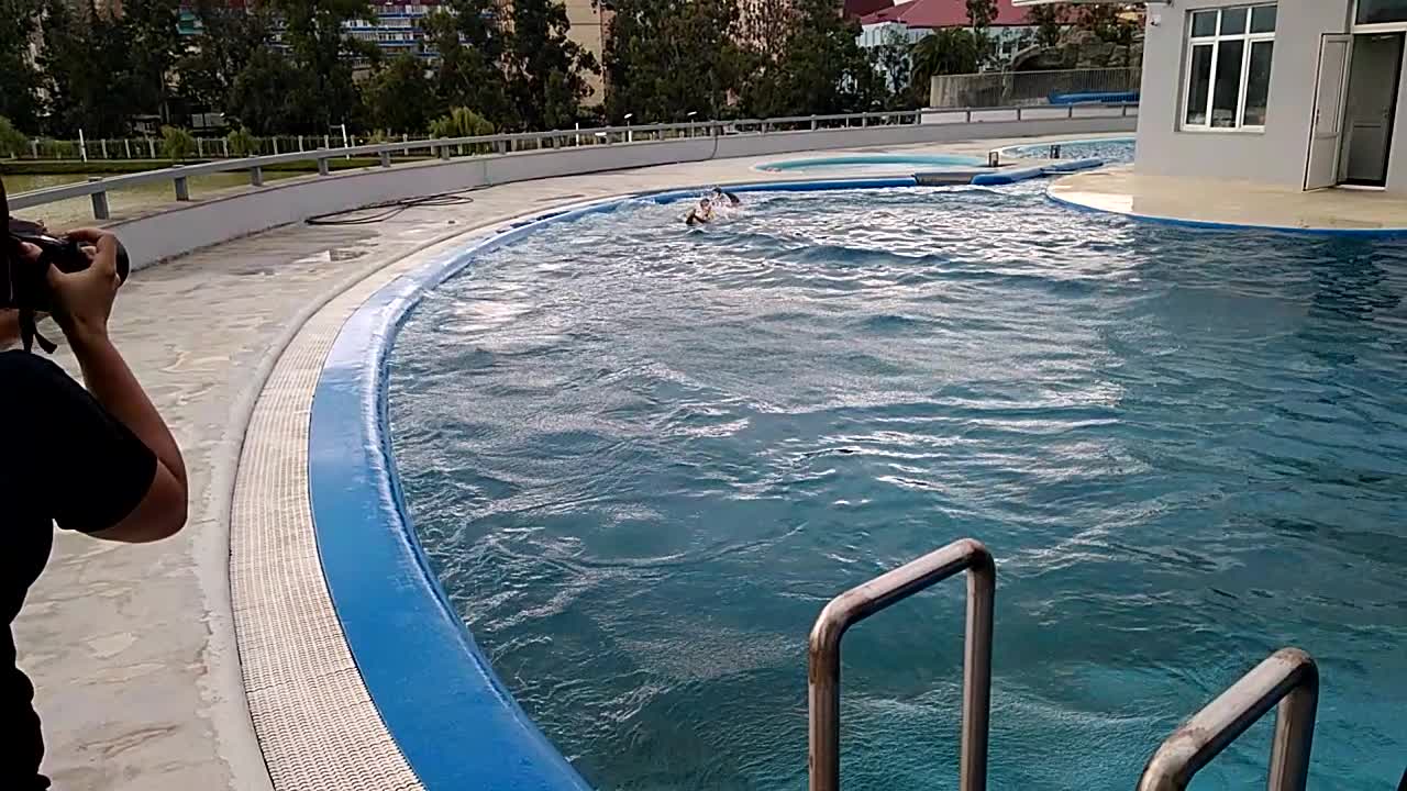 Children ride the dolphin