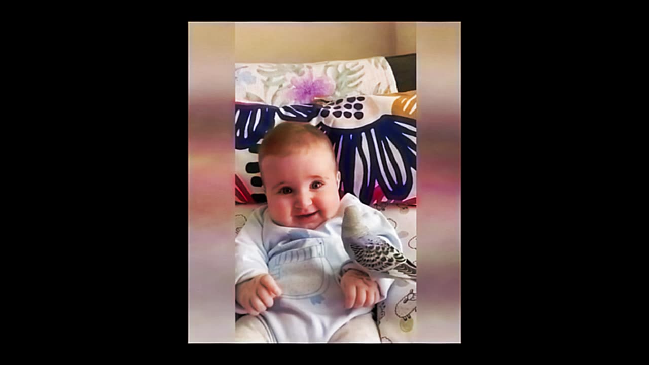 lovely