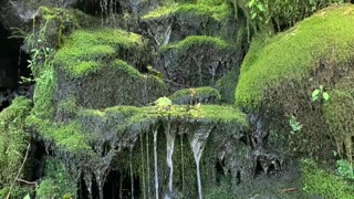 Fairy Falls, at Tumwater Falls Park in Olympia, Washington