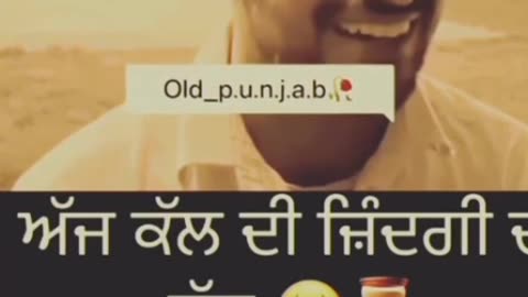 Punjabi status