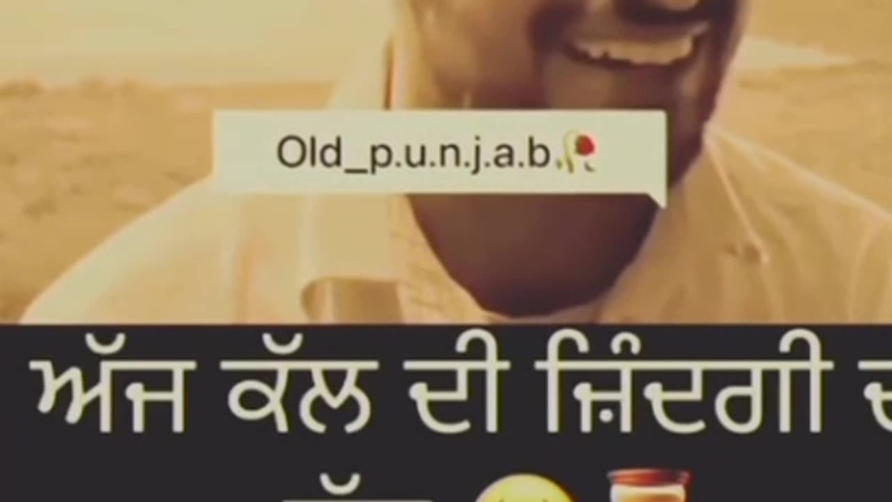 Punjabi status