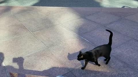 20240428 164504 Tux Afternoon Greeting