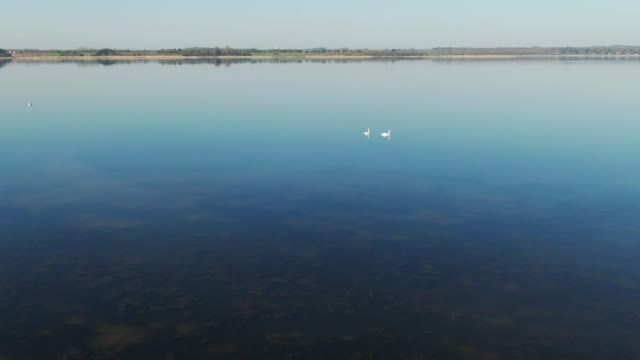 Drone flying over lake birds - With beautiful music