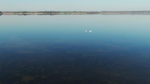 Drone flying over lake birds - With beautiful music