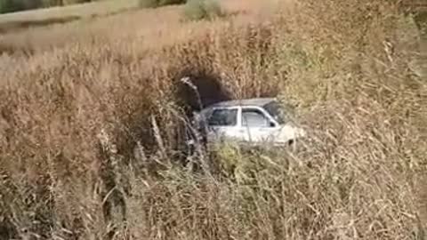 VW Golf OUT of ROAD