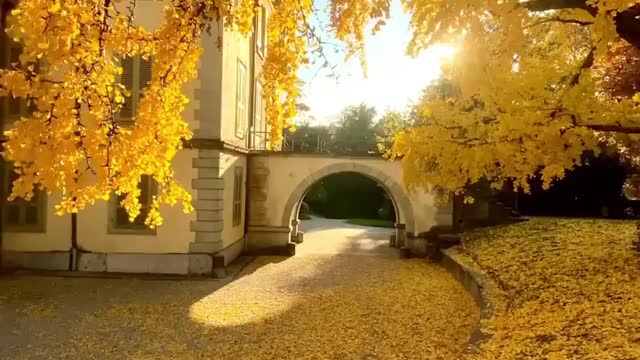 Beautiful autumn colors in Lausanne.