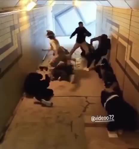 6 Turks harass 3 French women in one of the French subways.