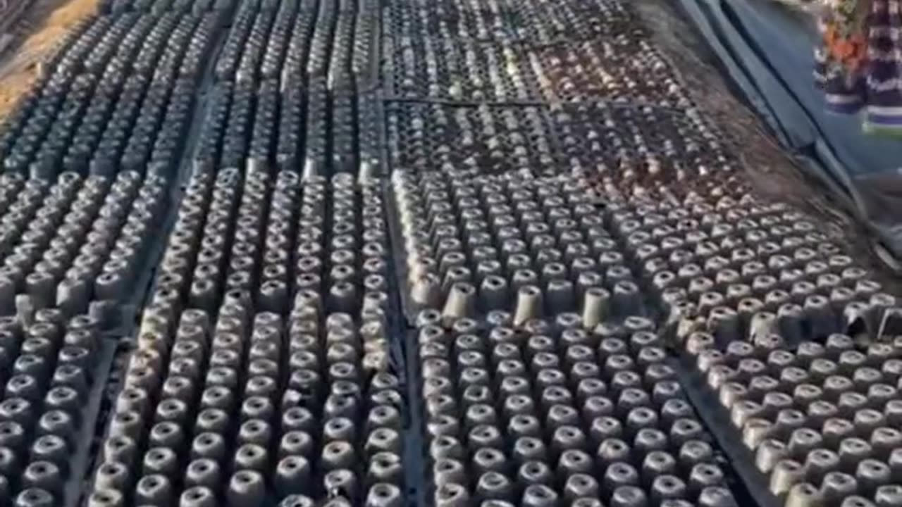 Sugarcane plant preparation classic technology