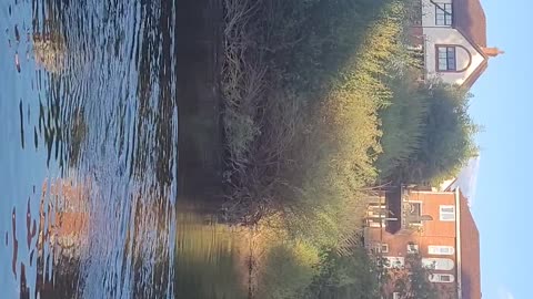 Daves 5lb Barbel - River Severn Shrewsbury