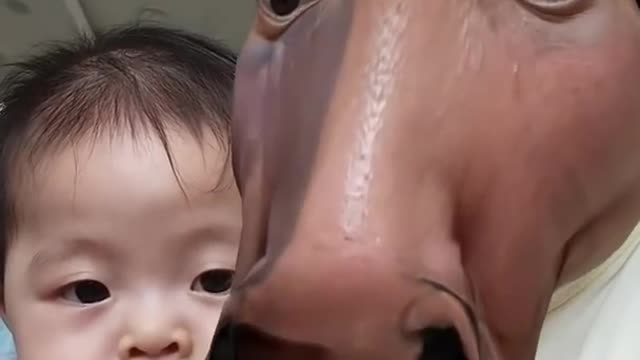 😅😅 vidéo