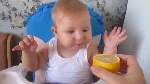 FUNNY BABIES LEMON EATING COMPILATION