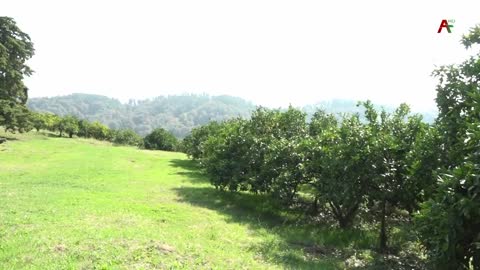 Новости Абхазии - 20.10.2021