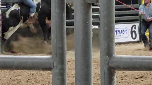 Bull goes crazy at RGV bull riding event