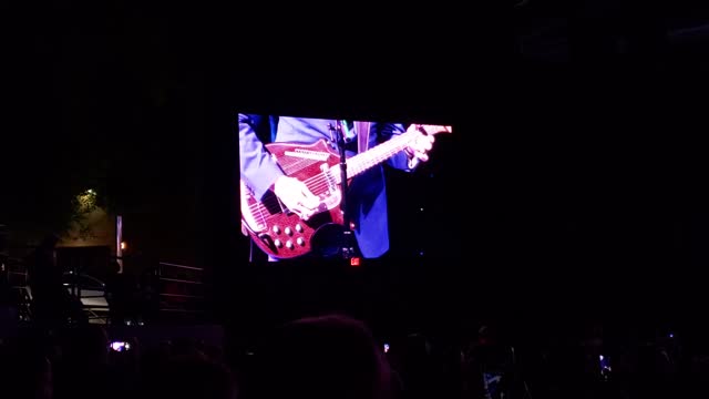 Steve Miller Band