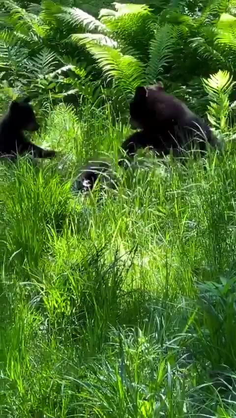 Nature is beautiful.! ❤️