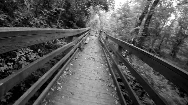 TIME WARP on the Towpath