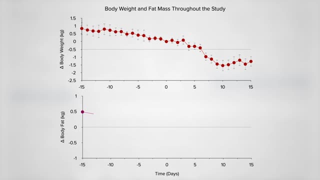 Keto Diet Theory Put to The Test