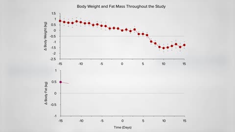 Keto Diet Theory Put to The Test