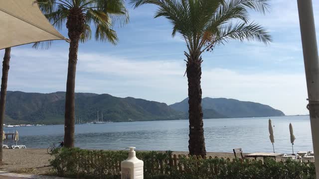 From Turkey ( Marmaris )