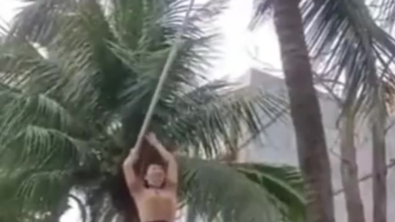 Funny Video Coconut