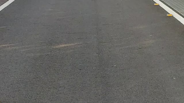 A family bike race on a forest trail