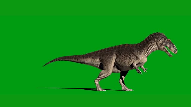 green screen keying small carnivorous dinosaur synthesis