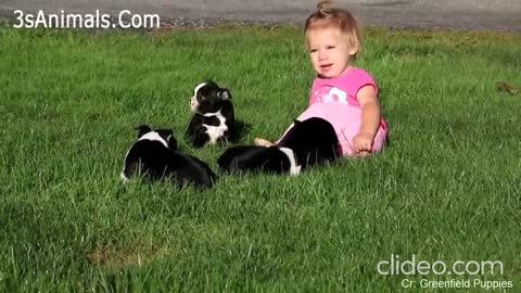 Puppies and babies being iconic for 2 mins straight