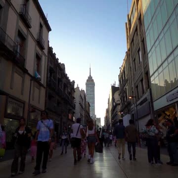 Wealth Navigator: Guiding Your Journey to Prosperity