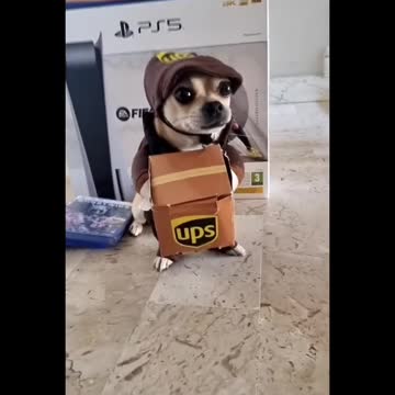 Best editing I ever seen 🤣 #funny #shorts #memes