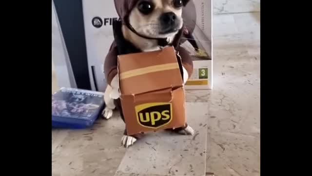 Best editing I ever seen 🤣 #funny #shorts #memes