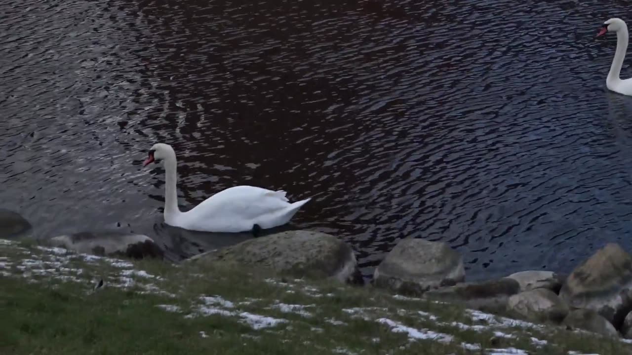 Landskrona 24 Febr. 2018