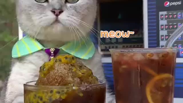 Chef ChangAn Takes On A Fun Summer Drink
