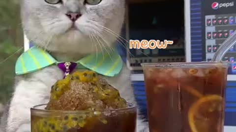 Chef ChangAn Takes On A Fun Summer Drink